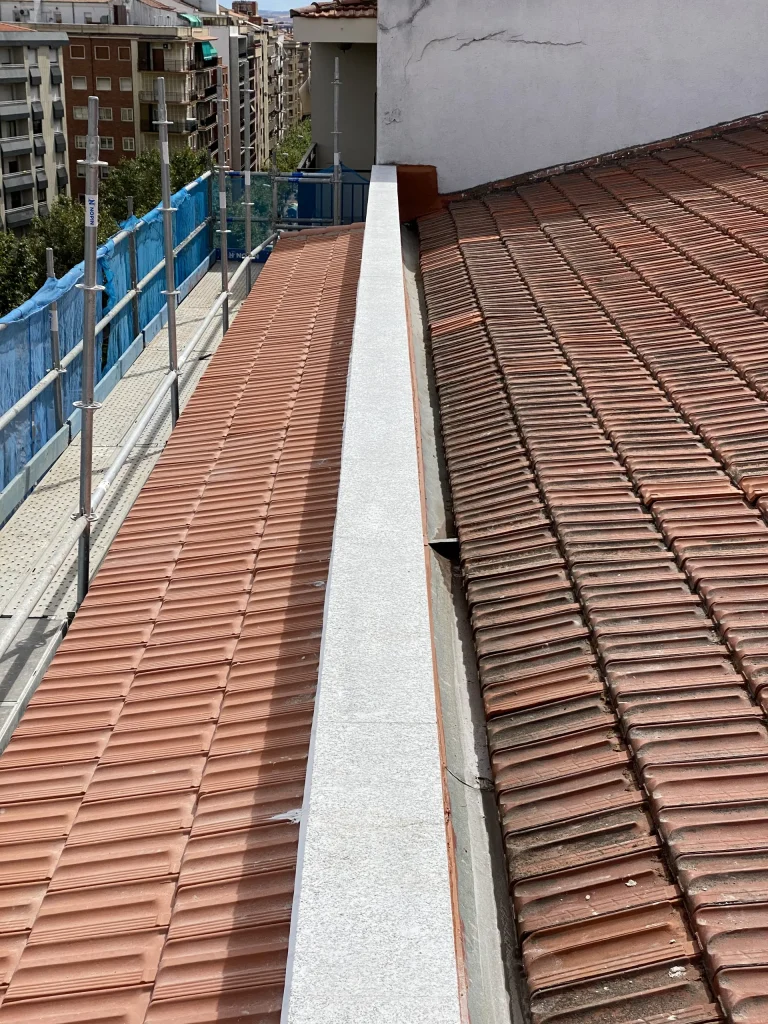 fachasdas.2025-12.01