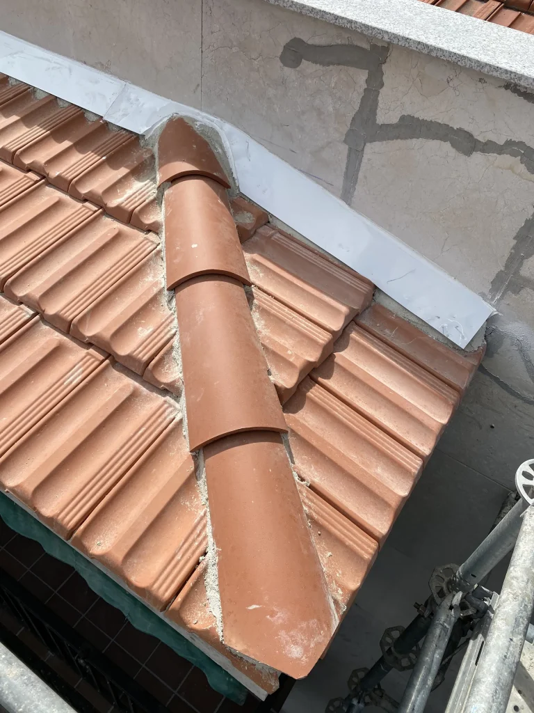 fachasdas.2025-12.02